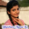 About Bhaicharo Meena Ko Song